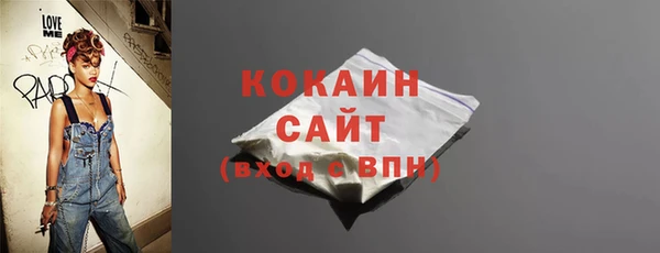 шишки Богородск
