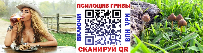 Галлюциногенные грибы Cubensis  купить наркоту  Сретенск 