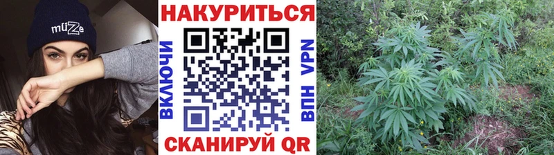 Канабис гибрид  наркошоп  Сретенск 